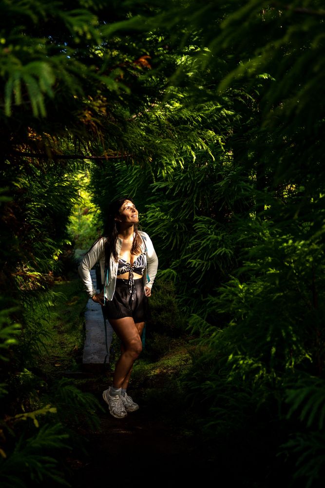 Que faire sur l'île de Terceira aux Açores ? Randonner dans ses forêts magnifiques