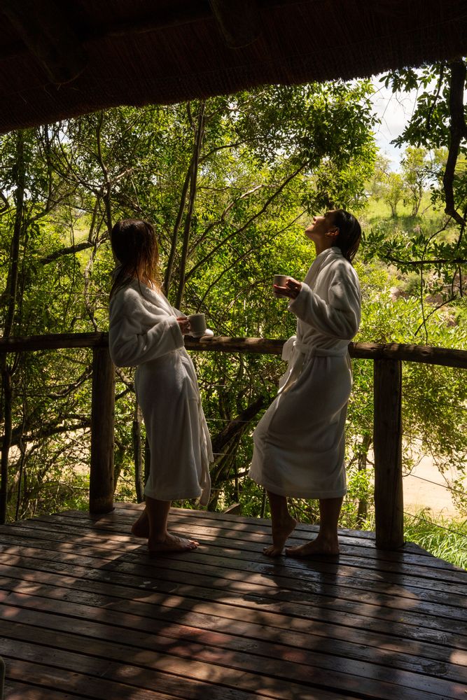 Lodge Rhino Post Safari Camp Parc Kruger Afrique du Sud Safari