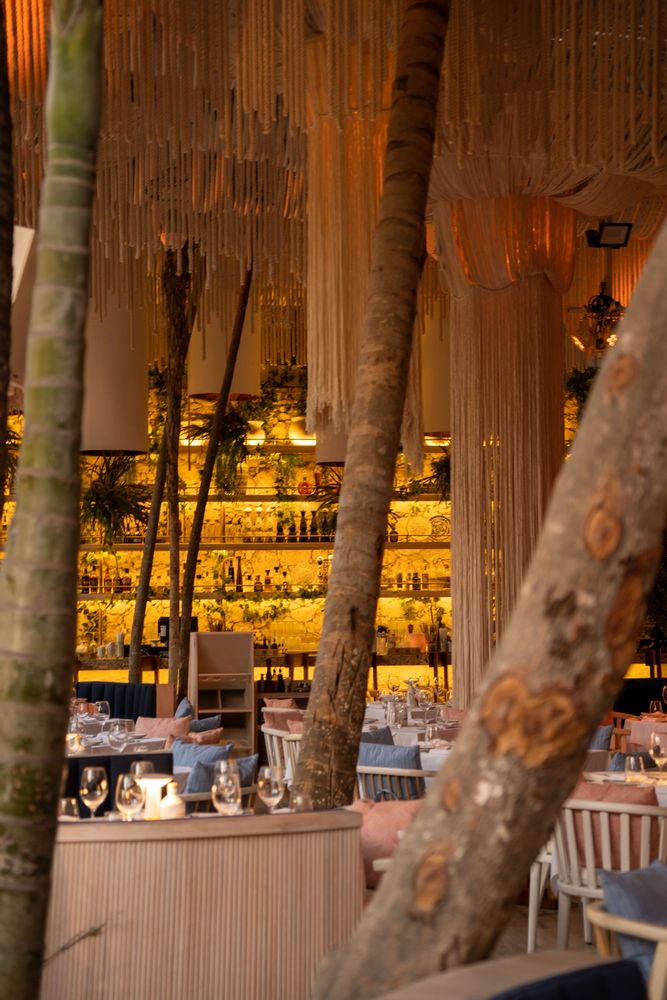 spectacle restaurant tulum mexique