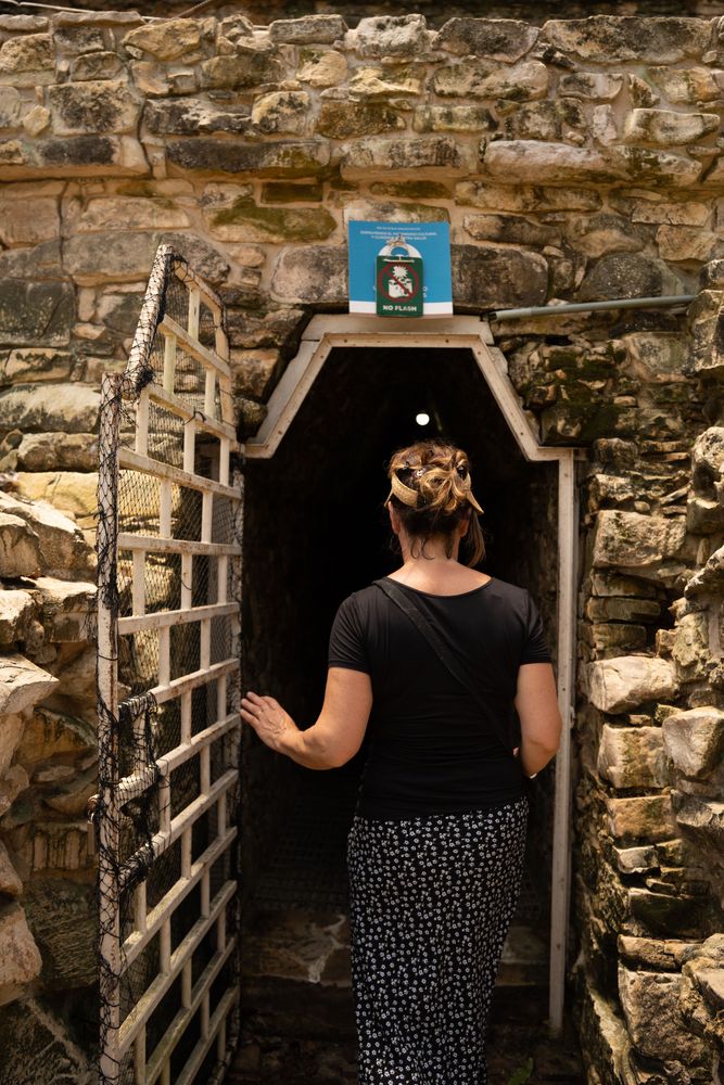 Ruines de Palenque Mexique