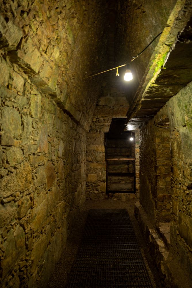 Ruines de Palenque Mexique