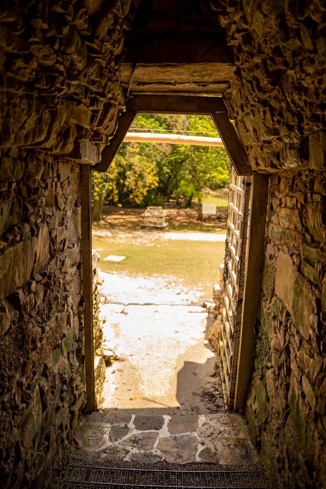 Ruines de Palenque Mexique