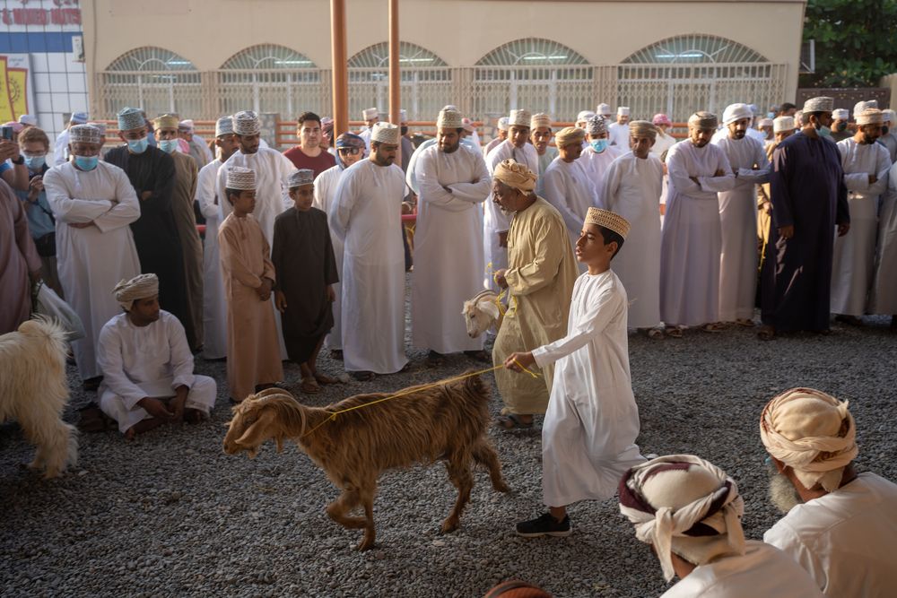 marché des bestiaux goat market nizwa oman