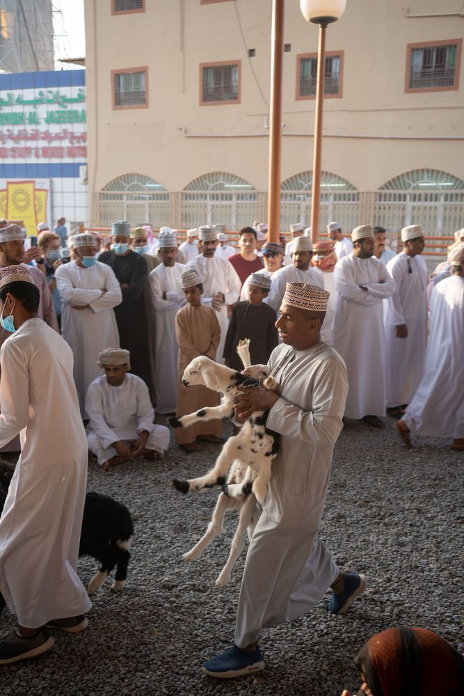 marché des bestiaux goat market nizwa oman