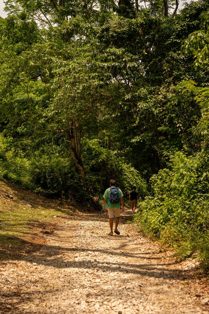 Palenque randonnée dans la jungle Mexique