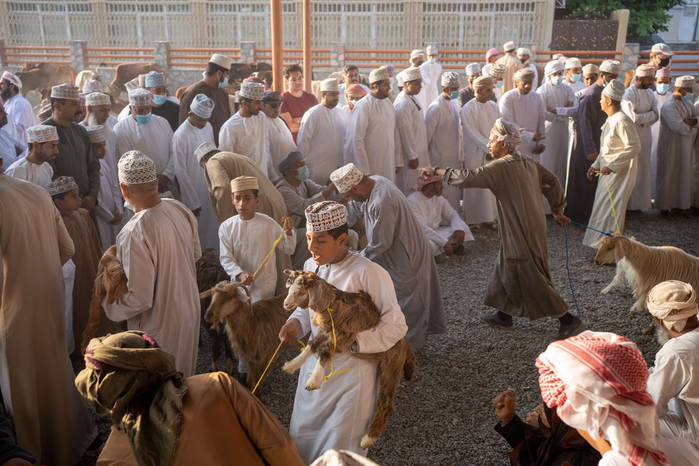 marché des bestiaux goat market nizwa oman