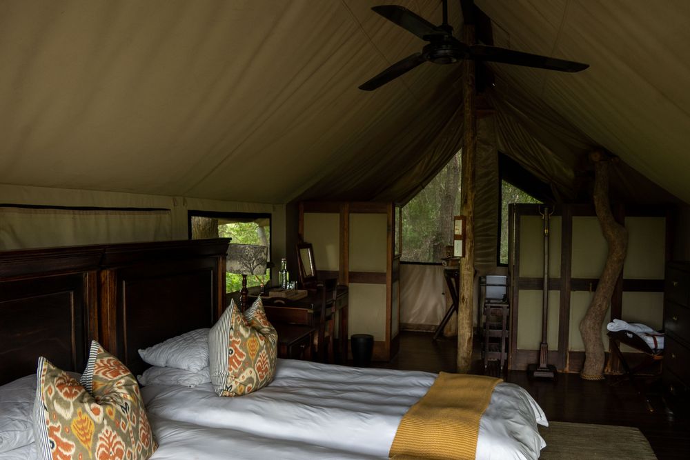 Rhino Post Walking Safari Parc Kruger Afrique du Sud Safari