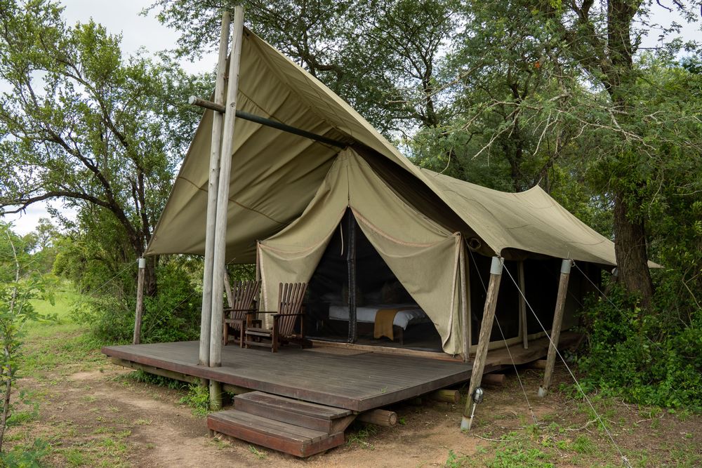 Rhino Post Walking Safari Parc Kruger Afrique du Sud Safari