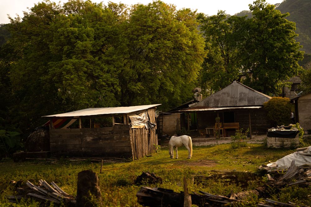 Palenque champ cheval mexique