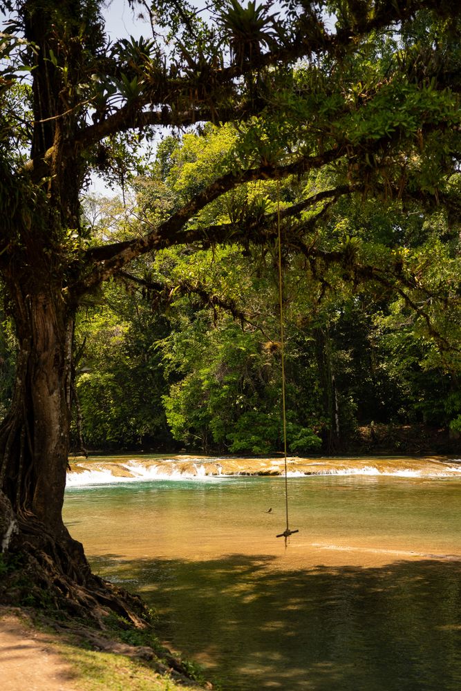 Palenque Cascades Mexique eau turquoise balançoire