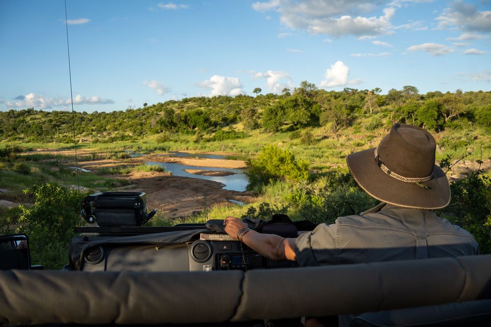 Parc Kruger Afrique du Sud Safari dans la réserve de Klaserie