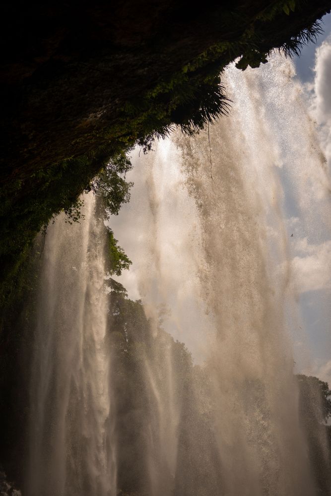 Palenque Cascades Mexique
