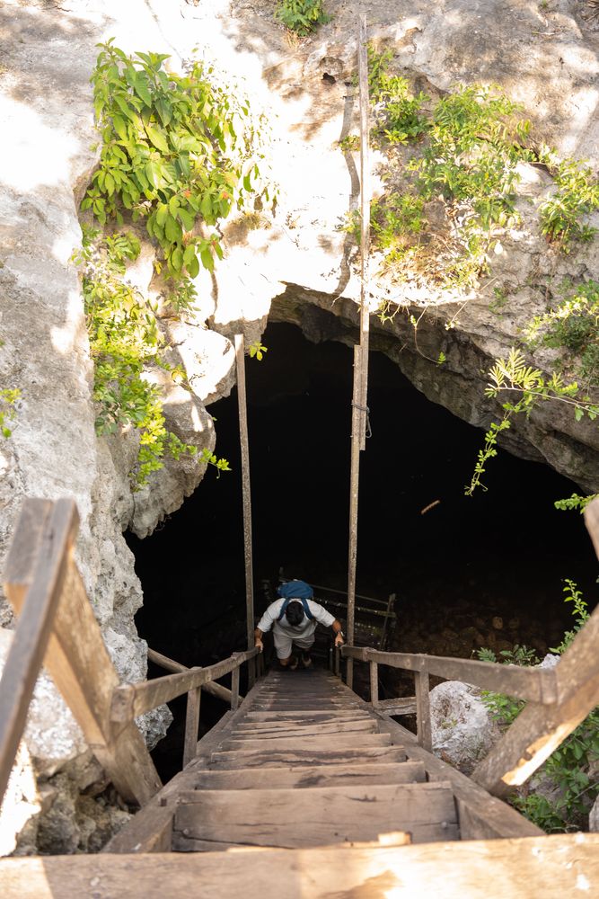 Cenotes sous-terraine Yucatan Mexique Escalier en bois