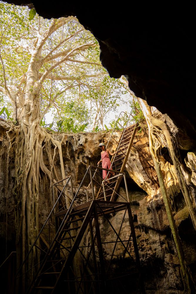 Cenotes sous-terraine Yucatan Mexique Escalier en bois
