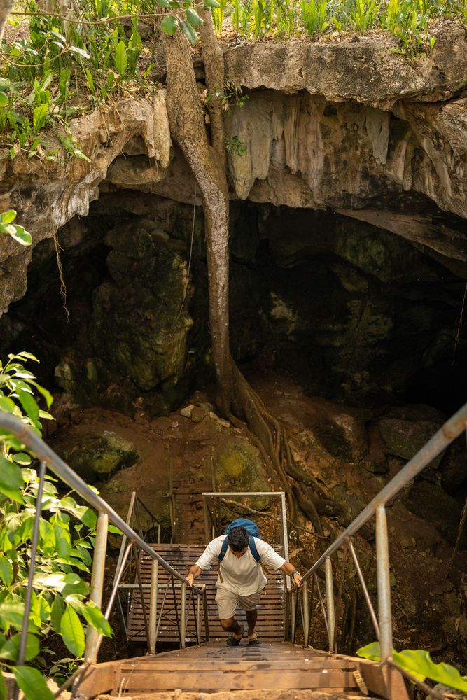 Cenotes sous-terraine Yucatan Mexique Escalier en bois