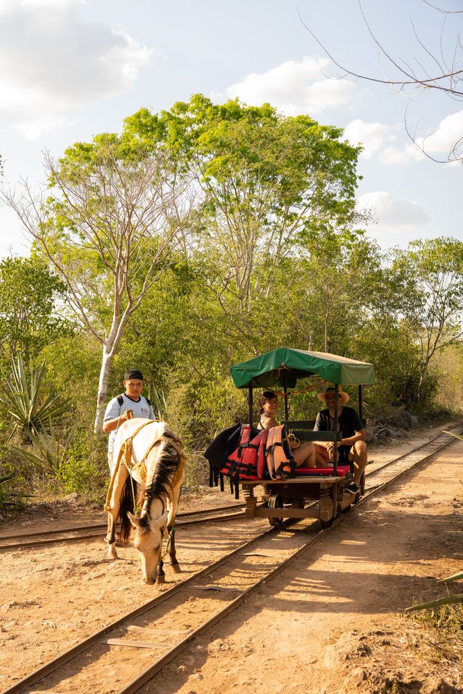 Cenotes sous-terraine Yucatan Mexique Carriole tirée par un cheval