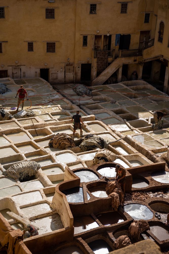 Tanneries Fès Maroc