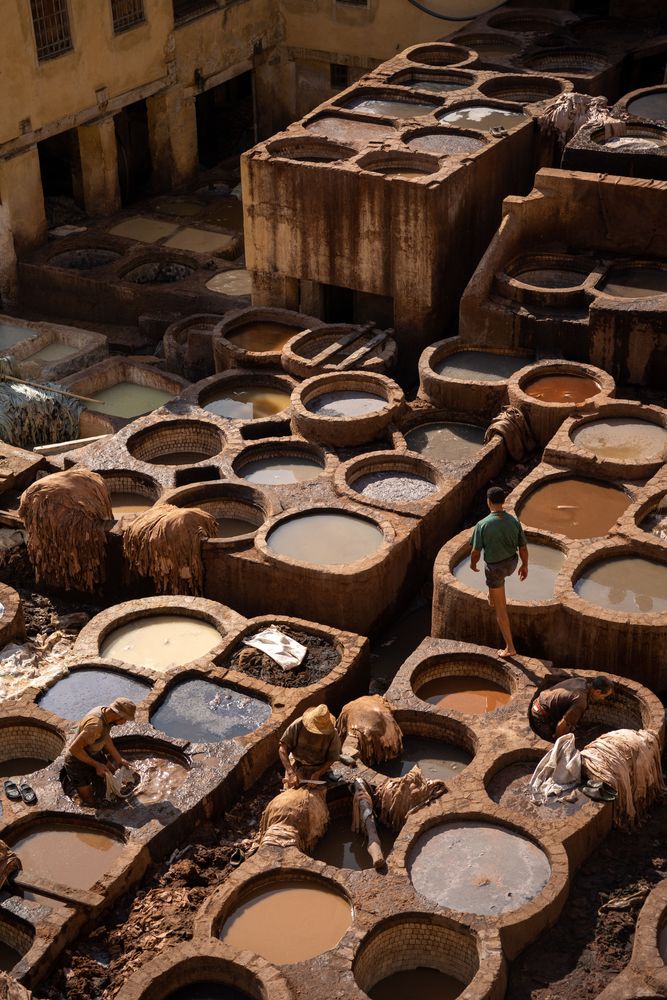 Tanneries Fès Maroc