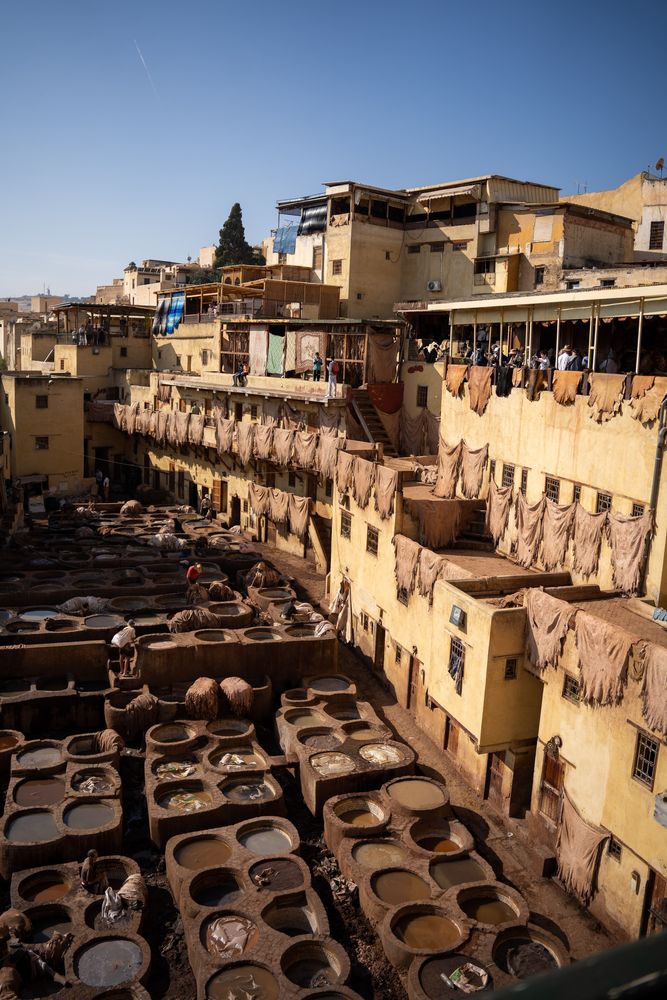 Tanneries Fès Maroc
