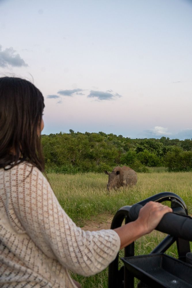 Elephant Safari Klaserie Drift Safari Lodge Parc Kruger Afrique du Sud 