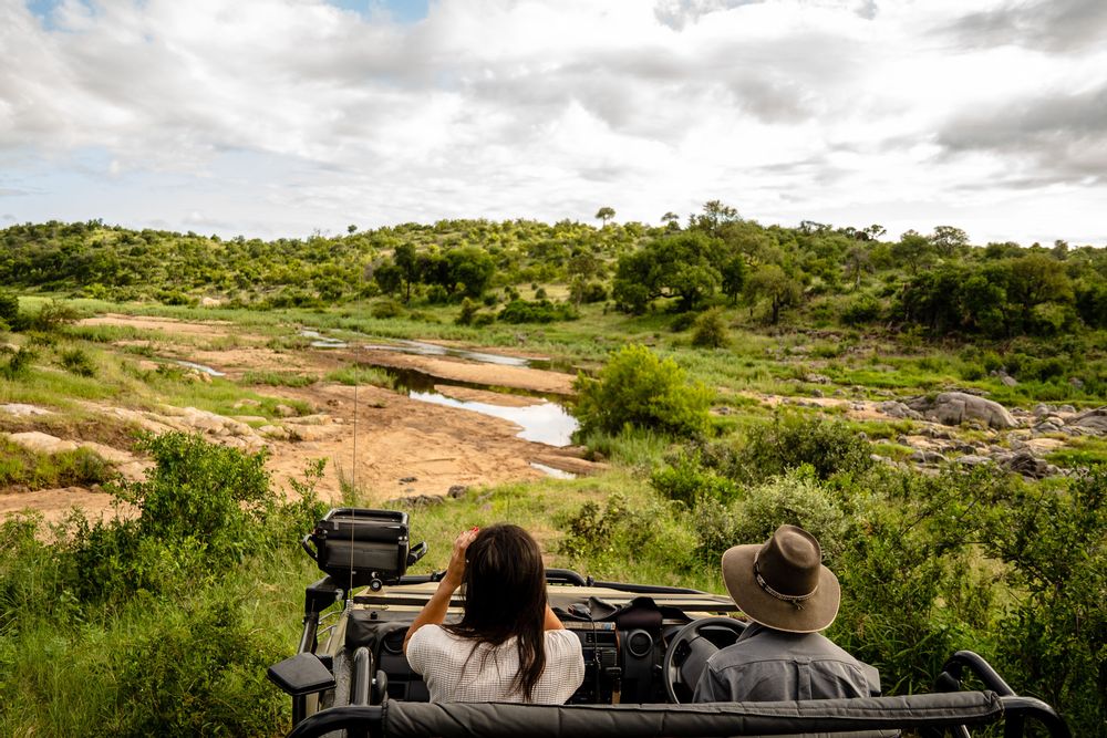 Café Safari Klaserie Drift Safari Lodge Parc Kruger Afrique du Sud 