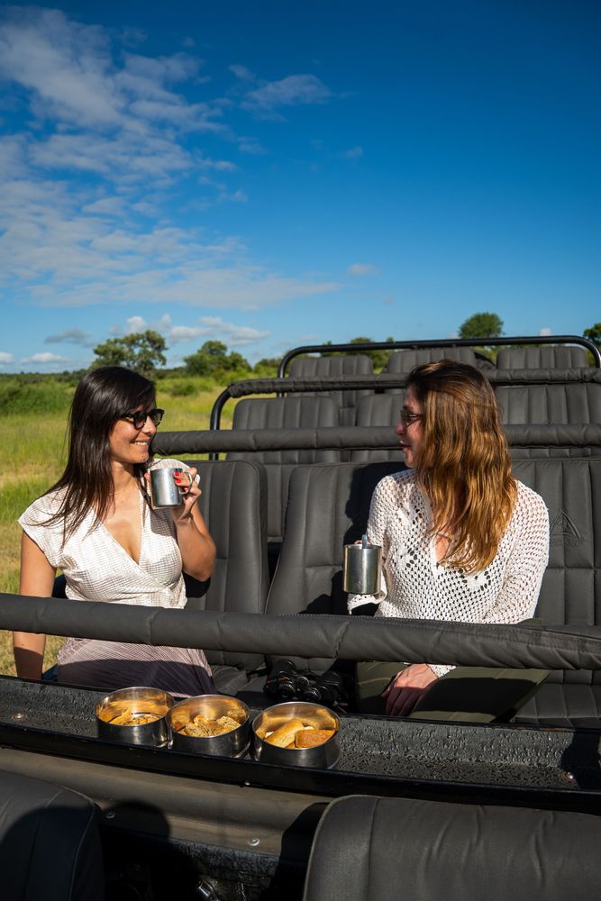 Café dans la voiture Safari Klaserie Drift Safari Lodge Parc Kruger Afrique du Sud