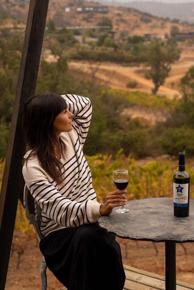 Meilleur hôtel du Chili Vallée de Casablanca Hôtel Casavino