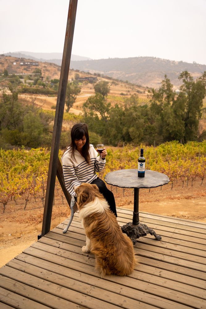 Hotel Casavino - Meilleur hôtel du Chili - Vallée de Casablanca