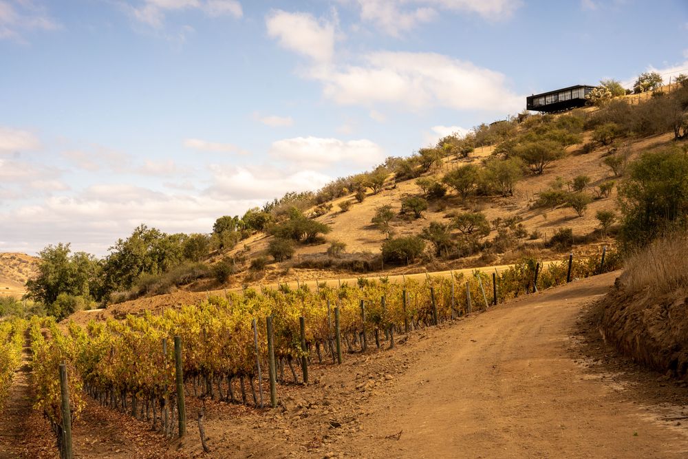 Hotel Casavino - Meilleur hôtel du Chili - Vallée de Casablanca