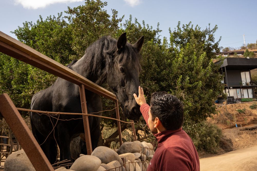 Meilleur hôtel du Chili Vallée de Casablanca Hôtel Casavino