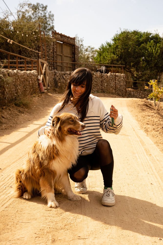 Meilleur hôtel du Chili Vallée de Casablanca Hôtel Casavino