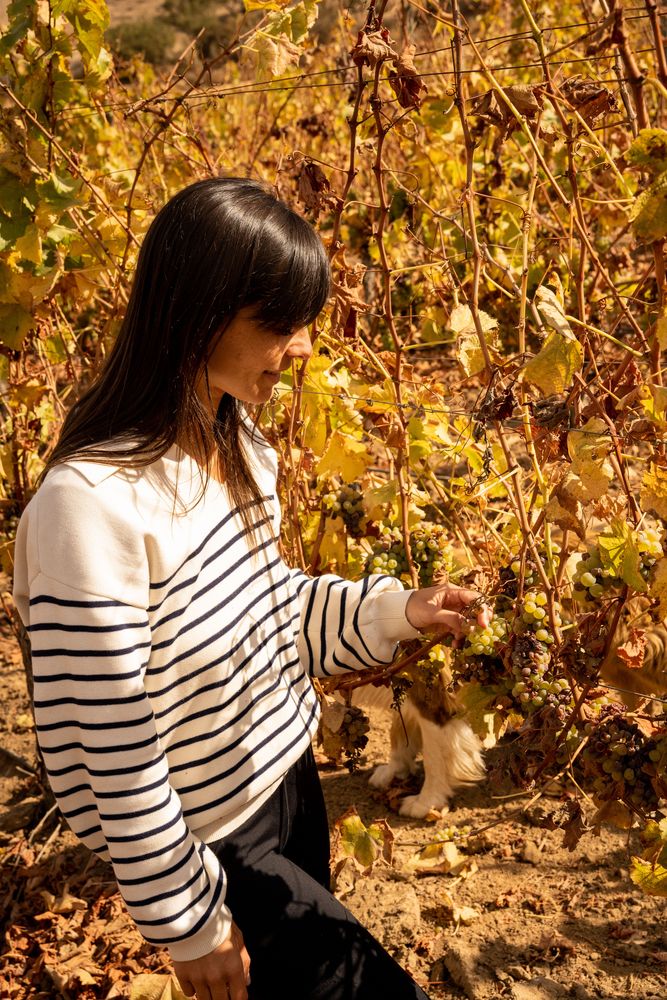 Meilleur hôtel du Chili Vallée de Casablanca Hôtel Casavino