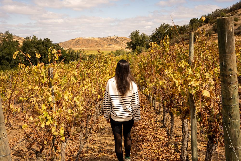 Meilleur hôtel du Chili Vallée de Casablanca Hôtel Casavino