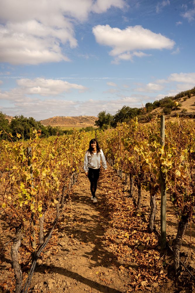 Meilleur hôtel du Chili Vallée de Casablanca Hôtel Casavino