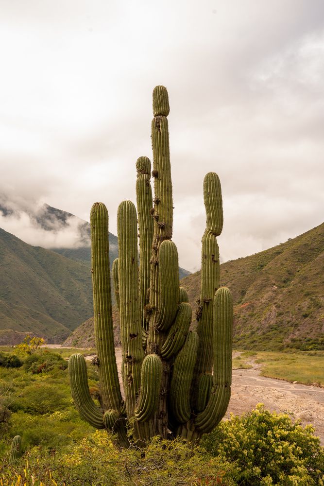 Road-trip Itinéraire Salta Nord Argentine