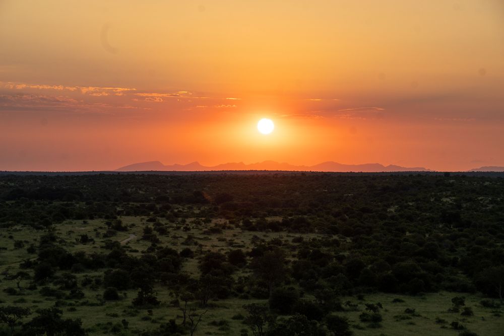 Coucher de soleil Safari Parc Kruger Afrique du Sud 