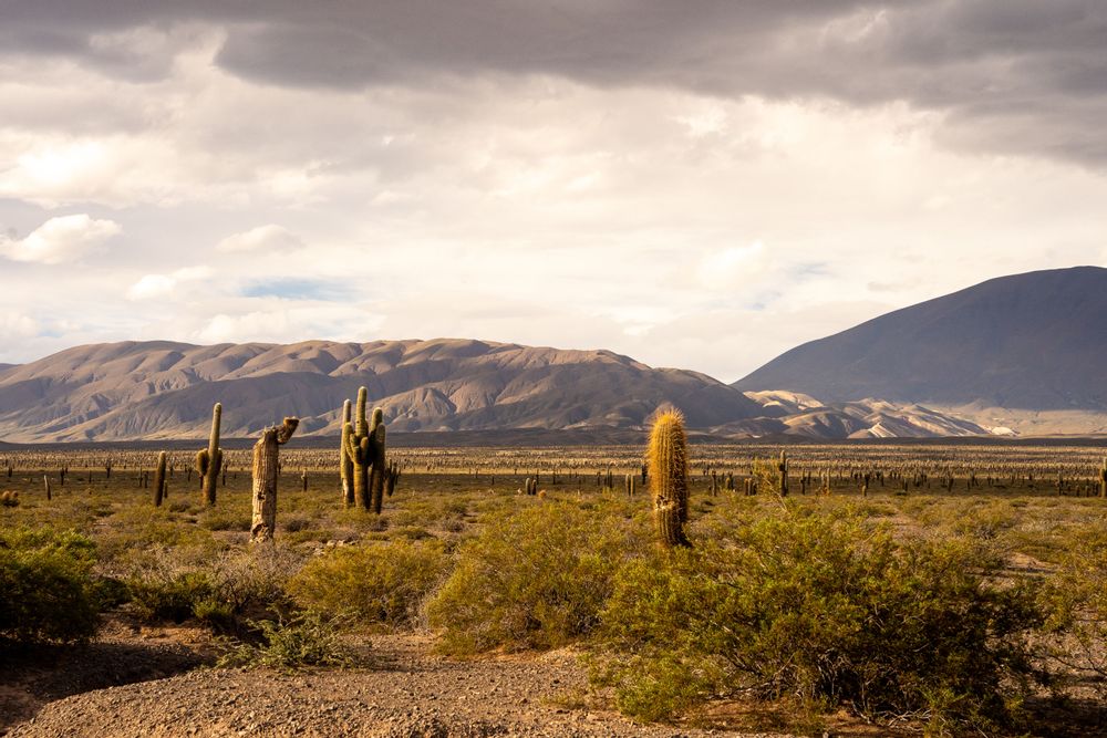 Road-trip Itinéraire Salta Nord Argentine boucle nord sud