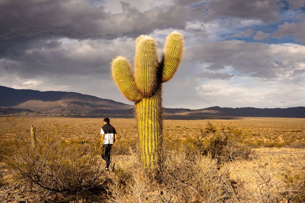 Road-trip Itinéraire Salta Nord Argentine boucle nord sud