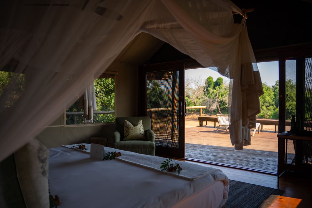 Parc Kruger Afrique du Sud Safari Pafuri Camp