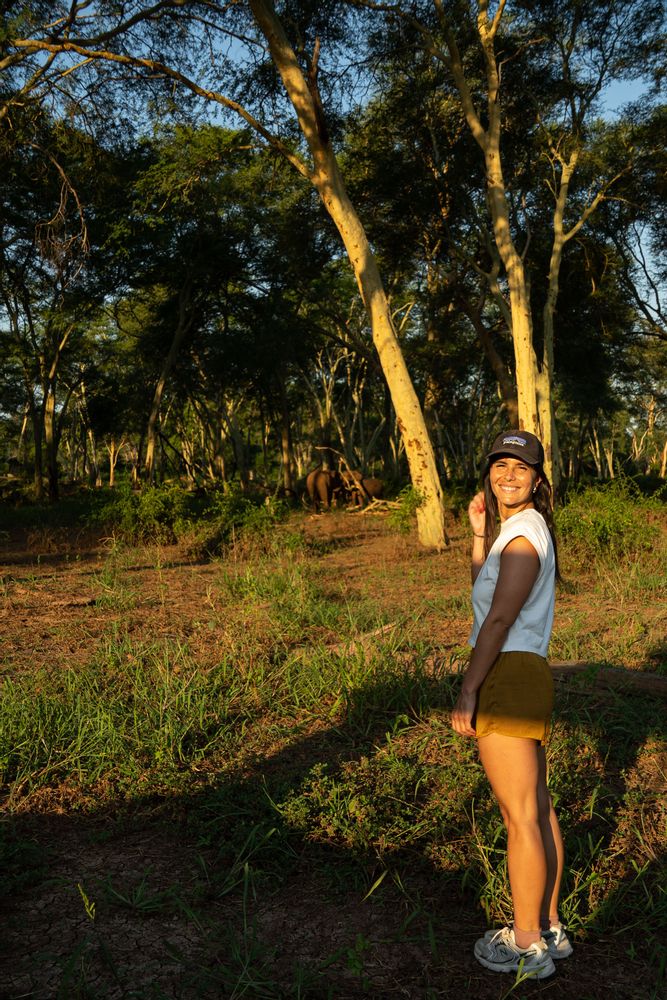 Parc Kruger Afrique du Sud Walking Safari avec des éléphants