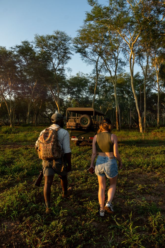 Walking safari Pafuri Camp Safari au Nord du Parc Kruger en Afrique du Sud 