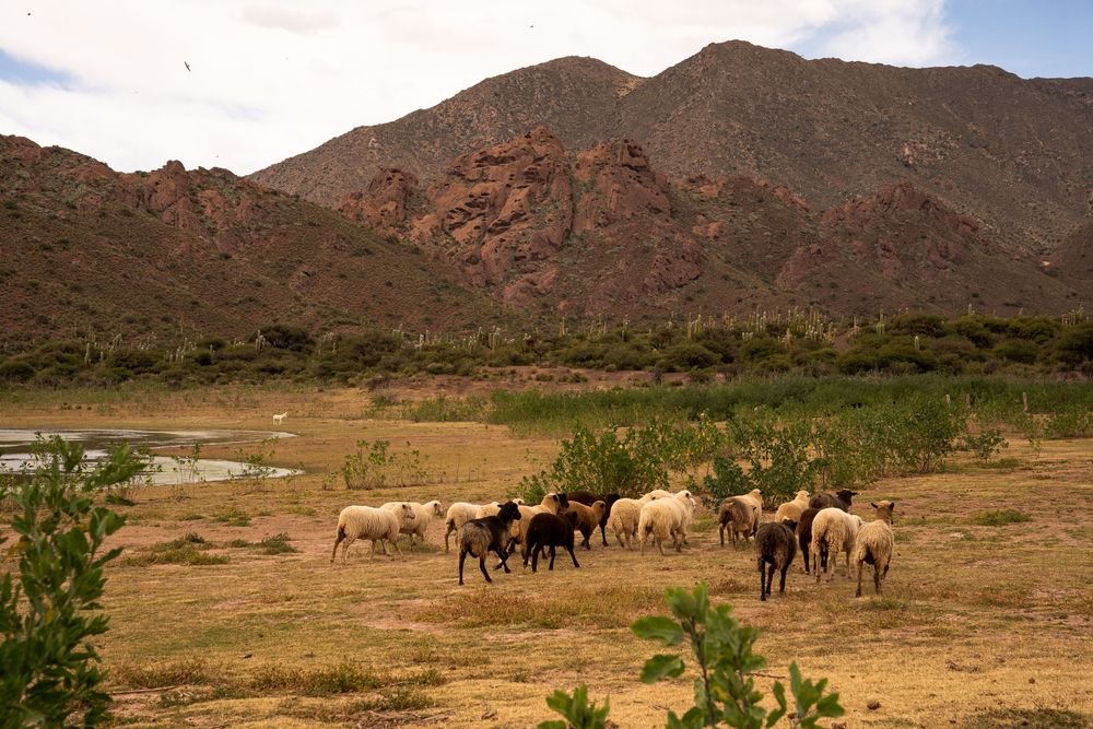 Road-trip Itinéraire Salta Nord Argentine boucle nord sud