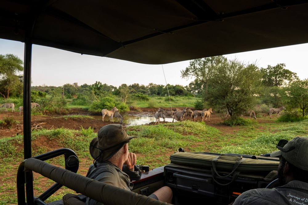 Safari au Parc Kruger Afrique du Sud dans le Nord vers Pafuri