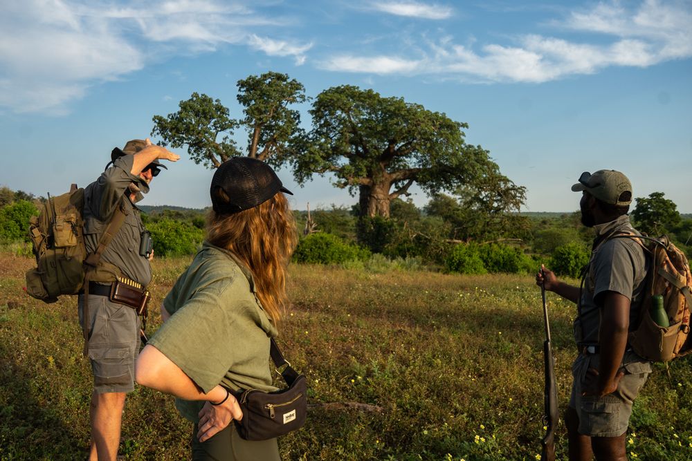 Parc Kruger Afrique du Sud Walking Safari Pafuri Baobab