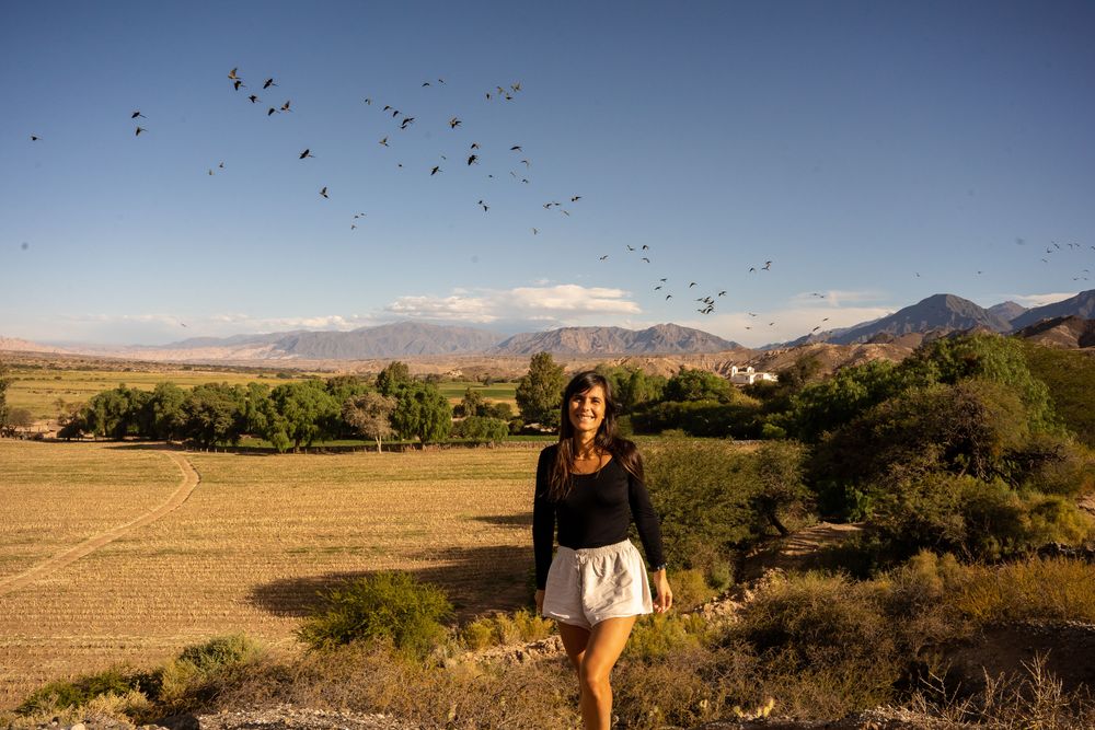 Oiseaux - Road-trip Itinéraire Salta Nord Argentine boucle nord sud oiseaux