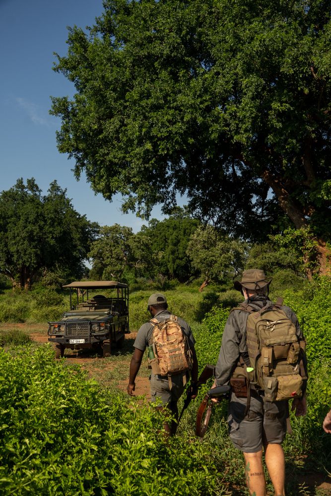 Parc Kruger Afrique du Sud Walking Safari Pafuri 