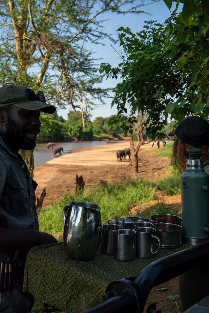 Café devant les éléphants à Pafuri Parc Kruger Afrique du Sud Safari