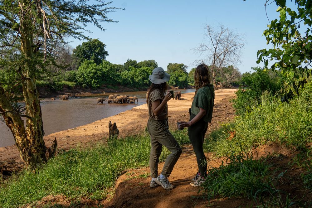 Café devant les éléphants Pafuri Camp Safari au Nord du Parc Kruger en Afrique du Sud 