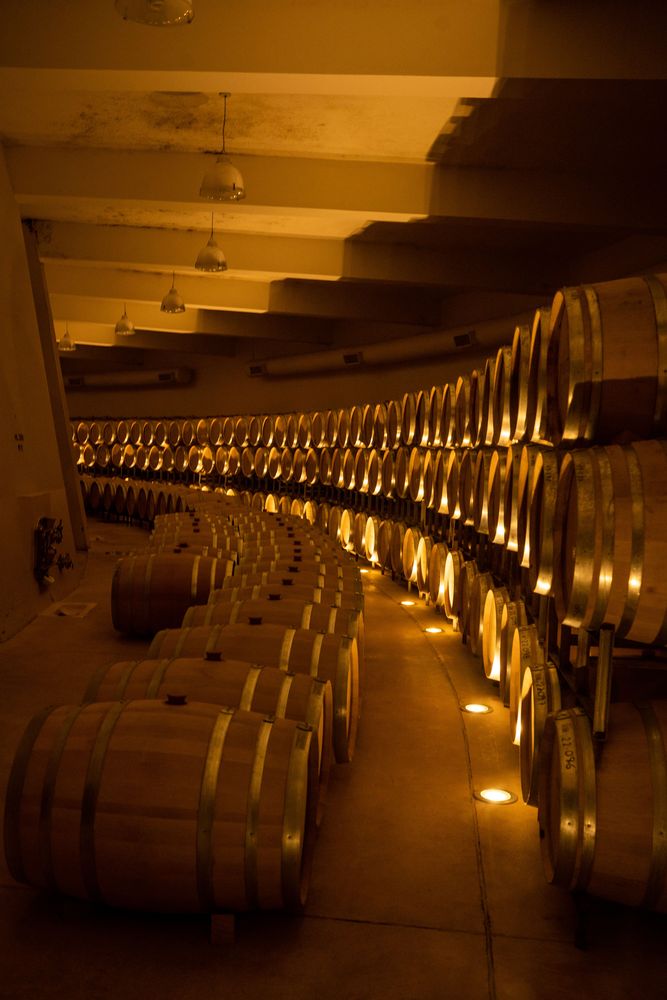 Vignobles cave à vin Road-trip Itinéraire Salta Argentine vin caves dégustations