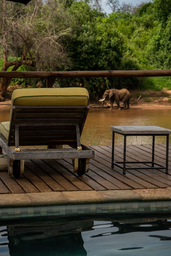 Pafuri Camp Piscine - Lodge Parc Kruger, Afrique du Sud